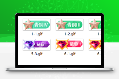 用户组等级VIP会员图标通用素材-比子网络