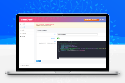 子比主题 – 自定义代码美化插件-比子网络