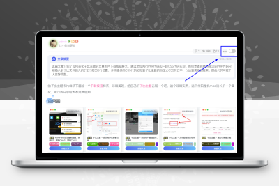 子比主题 — 文章页隐藏侧边栏按钮-比子网络