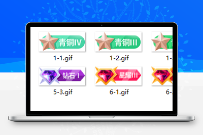 用户组等级VIP会员图标通用素材-码小淘网络