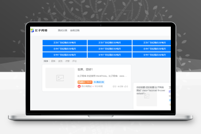 子比主题 – 文字广告位小工具_自动到期下架-码小淘网络