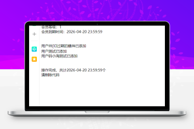WordPress网站所有用户批量设置为VIP会员的代码-比子网络