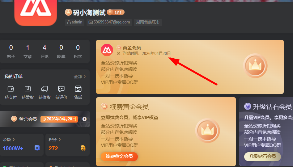图片[2]-WordPress网站所有用户批量设置为VIP会员的代码-比子网络