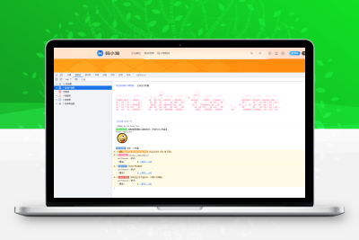 网站F12控制台美化-码小淘网络